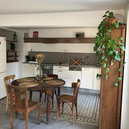 Appartement Climatise Avec Terrasse Carcassone Kültér fotó