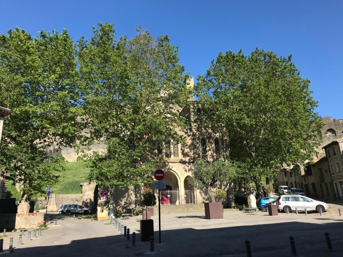Appartement Climatise Avec Terrasse Carcassone Kültér fotó